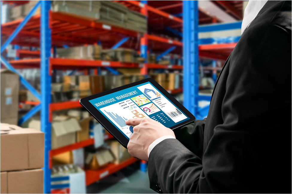 Comprehensive Reporting & Analytics